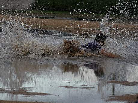Natacion Fobal